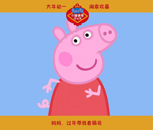 圣马太大学商科文凭证书